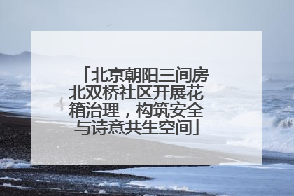 北京朝阳三间房北双桥社区开展花箱治理，构筑安全与诗意共生空间