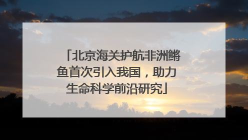 北京海关护航非洲鳉鱼首次引入我国，助力生命科学前沿研究