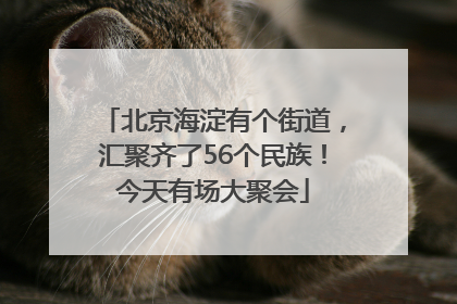北京海淀有个街道，汇聚齐了56个民族！今天有场大聚会