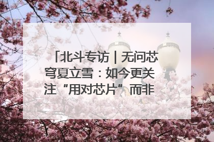 北斗专访｜无问芯穹夏立雪：如今更关注“用对芯片”而非“用贵芯片”