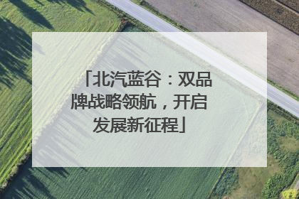 北汽蓝谷：双品牌战略领航，开启发展新征程