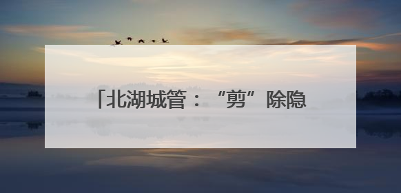 北湖城管：“剪”除隐患树“修”来安居行