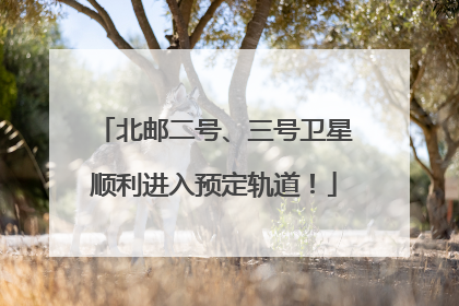 北邮二号、三号卫星顺利进入预定轨道！