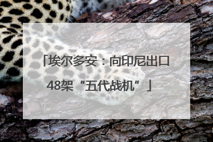 埃尔多安：向印尼出口48架“五代战机”