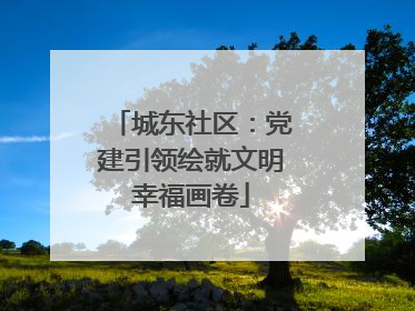 城东社区：党建引领绘就文明幸福画卷
