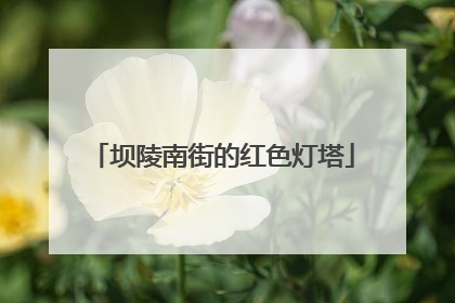 坝陵南街的红色灯塔
