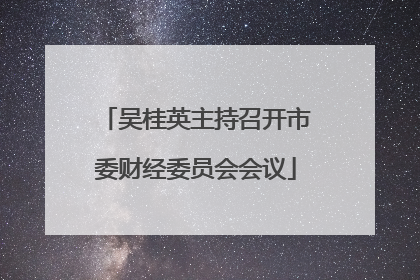 吴桂英主持召开市委财经委员会会议