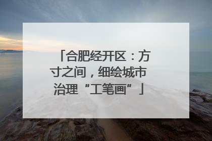 合肥经开区：方寸之间，细绘城市治理“工笔画”