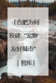 合肥为何投建“宠物友好城市”｜智库