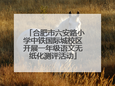 合肥市六安路小学中铁国际城校区开展一年级语文无纸化测评活动