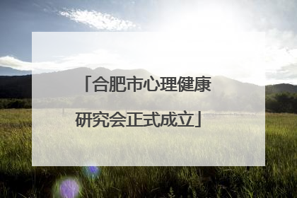 合肥市心理健康研究会正式成立