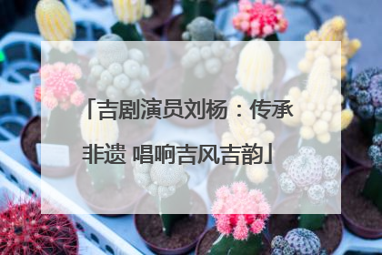 吉剧演员刘杨：传承非遗 唱响吉风吉韵