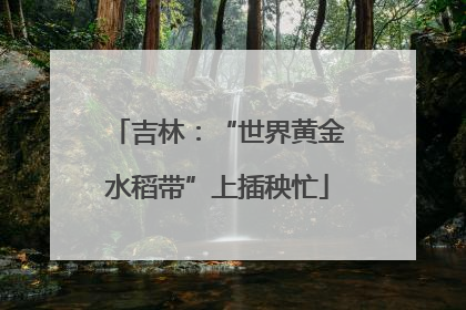 吉林：“世界黄金水稻带”上插秧忙