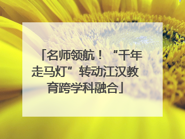 名师领航！“千年走马灯”转动江汉教育跨学科融合