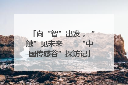 向“智”出发，“触”见未来——“中国传感谷”探访记