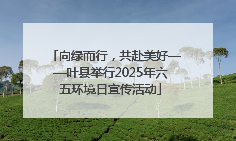 向绿而行，共赴美好——叶县举行2025年六五环境日宣传活动