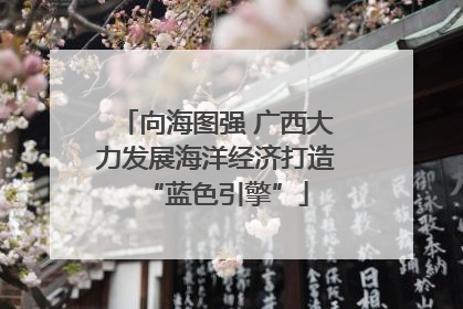 向海图强 广西大力发展海洋经济打造“蓝色引擎”