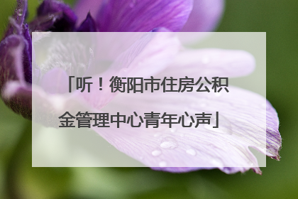 听！衡阳市住房公积金管理中心青年心声
