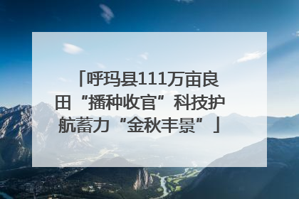 呼玛县111万亩良田“播种收官”科技护航蓄力“金秋丰景”