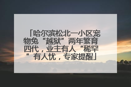 哈尔滨松北一小区宠物兔“越狱”两年繁育四代，业主有人“稀罕”有人忧，专家提醒