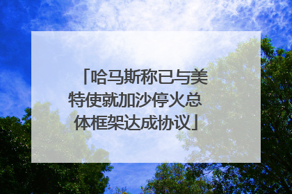 哈马斯称已与美特使就加沙停火总体框架达成协议
