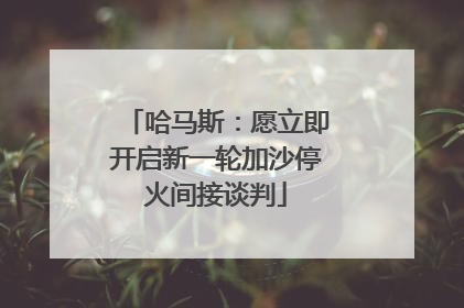哈马斯：愿立即开启新一轮加沙停火间接谈判