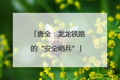 唐全：龙龙铁路的“安全哨兵”