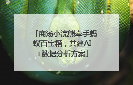 商汤小浣熊牵手蚂蚁百宝箱，共建AI+数据分析方案