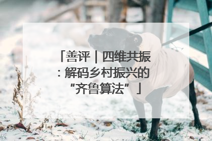 善评｜四维共振：解码乡村振兴的“齐鲁算法”