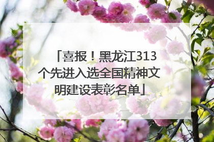 喜报！黑龙江313个先进入选全国精神文明建设表彰名单