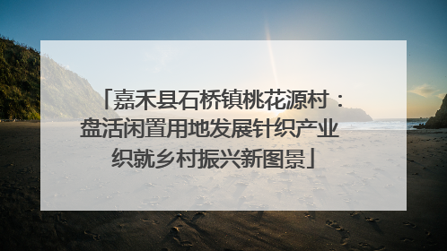 嘉禾县石桥镇桃花源村：盘活闲置用地发展针织产业 织就乡村振兴新图景
