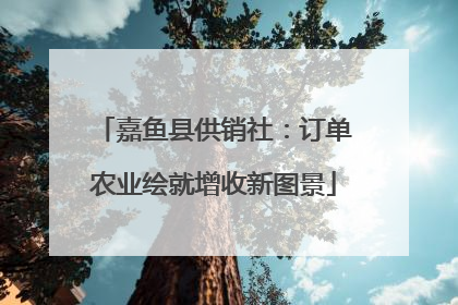 嘉鱼县供销社：订单农业绘就增收新图景