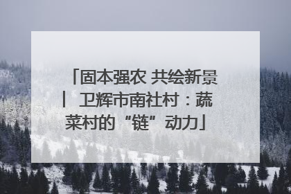 固本强农 共绘新景 ︳卫辉市南社村：蔬菜村的“链”动力