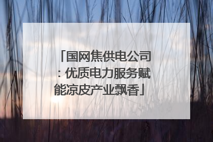 国网焦供电公司：优质电力服务赋能凉皮产业飘香