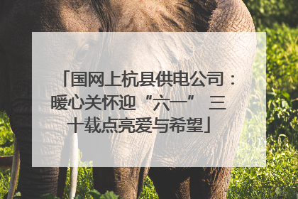 国网上杭县供电公司：暖心关怀迎“六一” 三十载点亮爱与希望