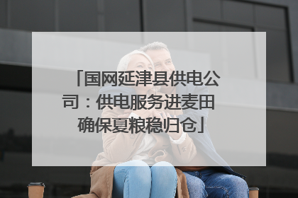 国网延津县供电公司:供电服务进麦田 确保夏粮稳归仓
