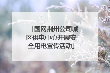 国网荆州公司城区供电中心开展安全用电宣传活动