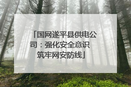 国网遂平县供电公司：强化安全意识 筑牢网安防线