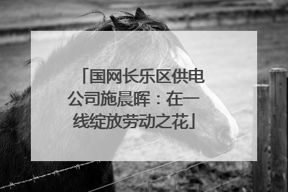 国网长乐区供电公司施晨晖：在一线绽放劳动之花