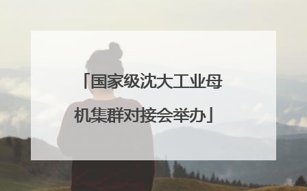 国家级沈大工业母机集群对接会举办