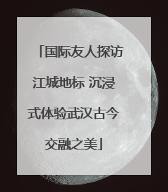 国际友人探访江城地标 沉浸式体验武汉古今交融之美