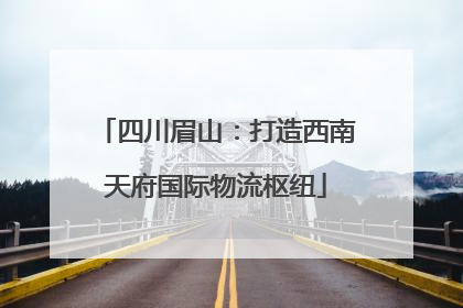 四川眉山：打造西南天府国际物流枢纽