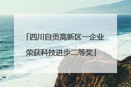 四川自贡高新区一企业荣获科技进步二等奖