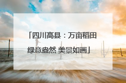 四川高县：万亩稻田绿意盎然 美景如画