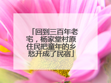 回到三百年老宅，杨家堂村原住民把童年的乡愁开成了民宿