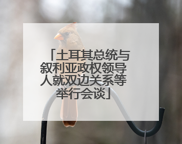 土耳其总统与叙利亚政权领导人就双边关系等举行会谈