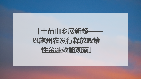 土苗山乡展新颜——恩施州农发行释放政策性金融效能观察