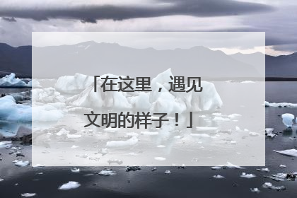在这里，遇见文明的样子！