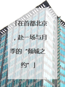 在首都北京，赴一场与月季的“倾城之约”