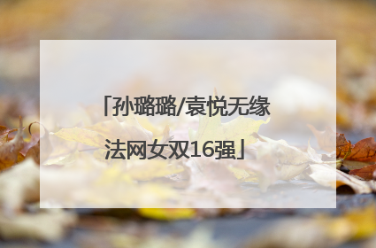 孙璐璐/袁悦无缘法网女双16强